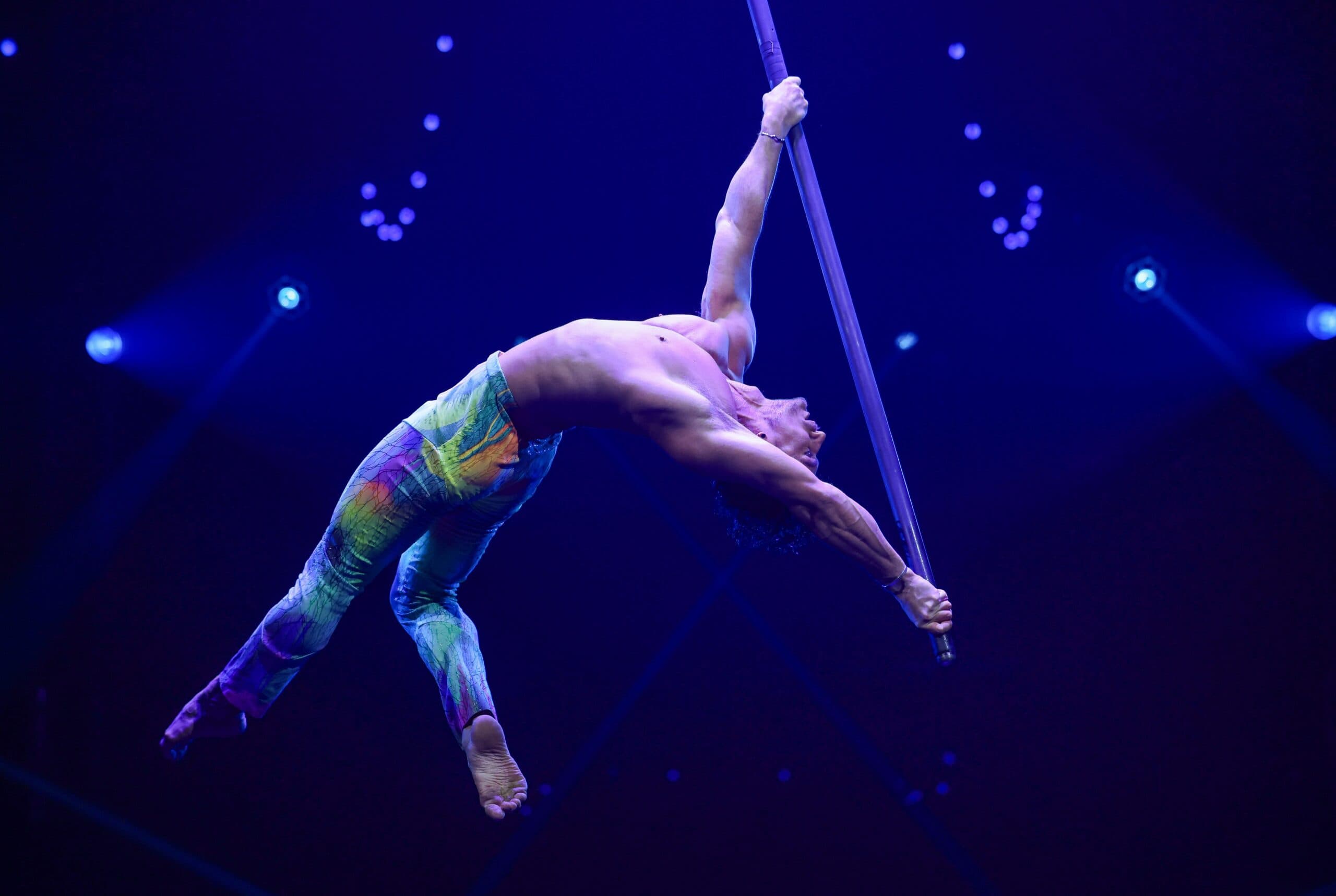 Enjoy Circus, Dance, and Acrobatics